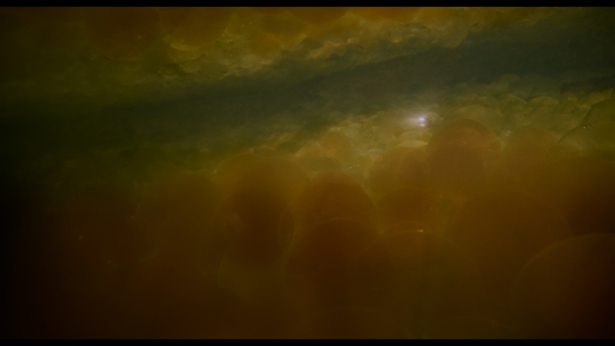 Screen capture from Innerspace