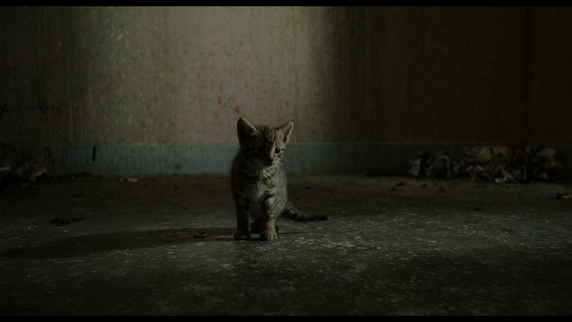 Screen capture from Trainspotting