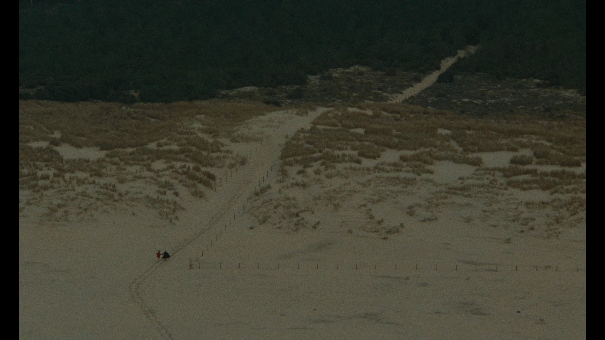 Screen capture from Three Films by Leos Carax