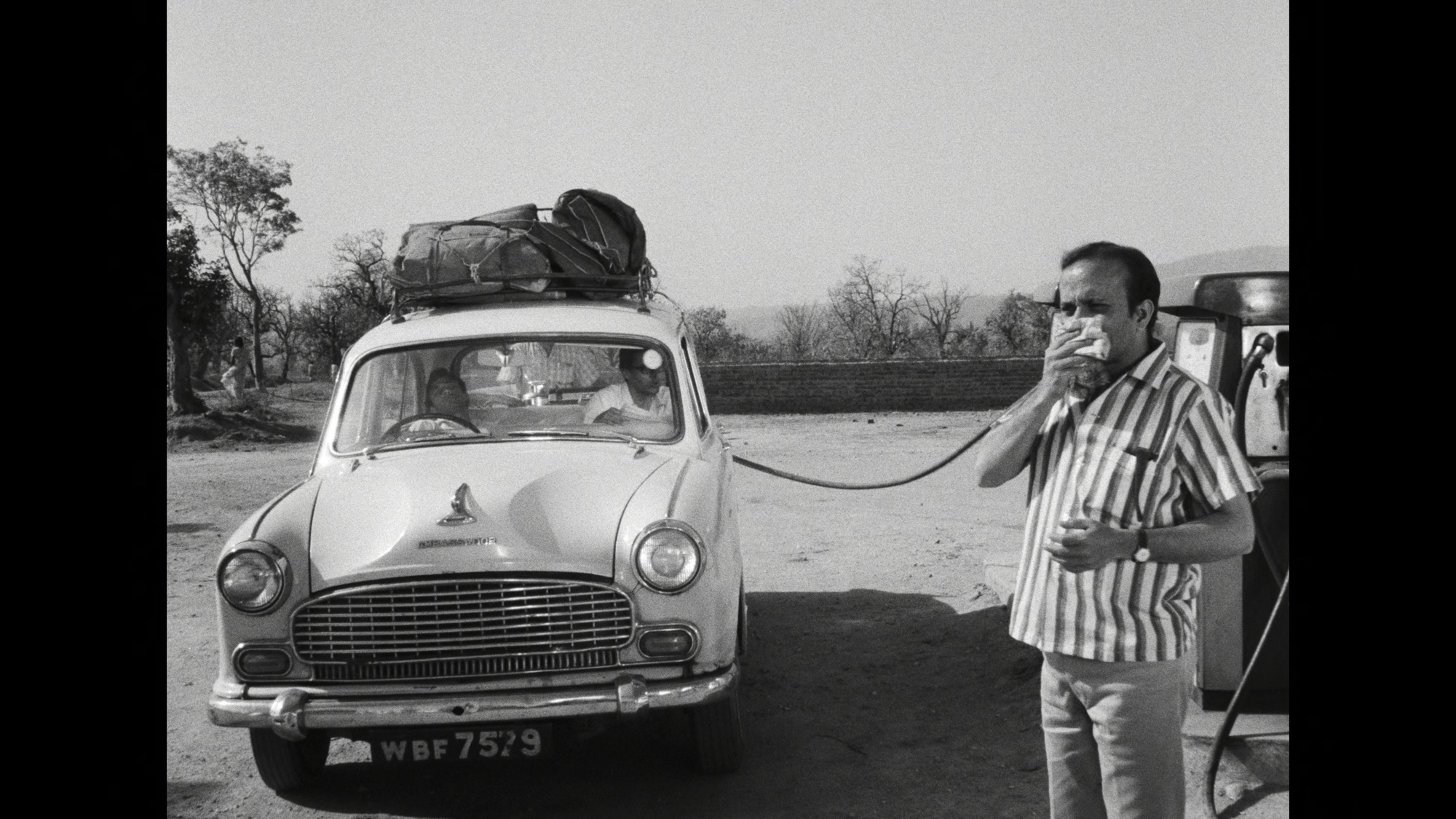 Screen capture from Days and Nights in the Forest