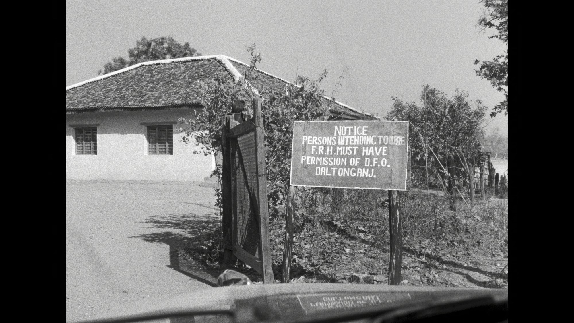 Screen capture from Days and Nights in the Forest