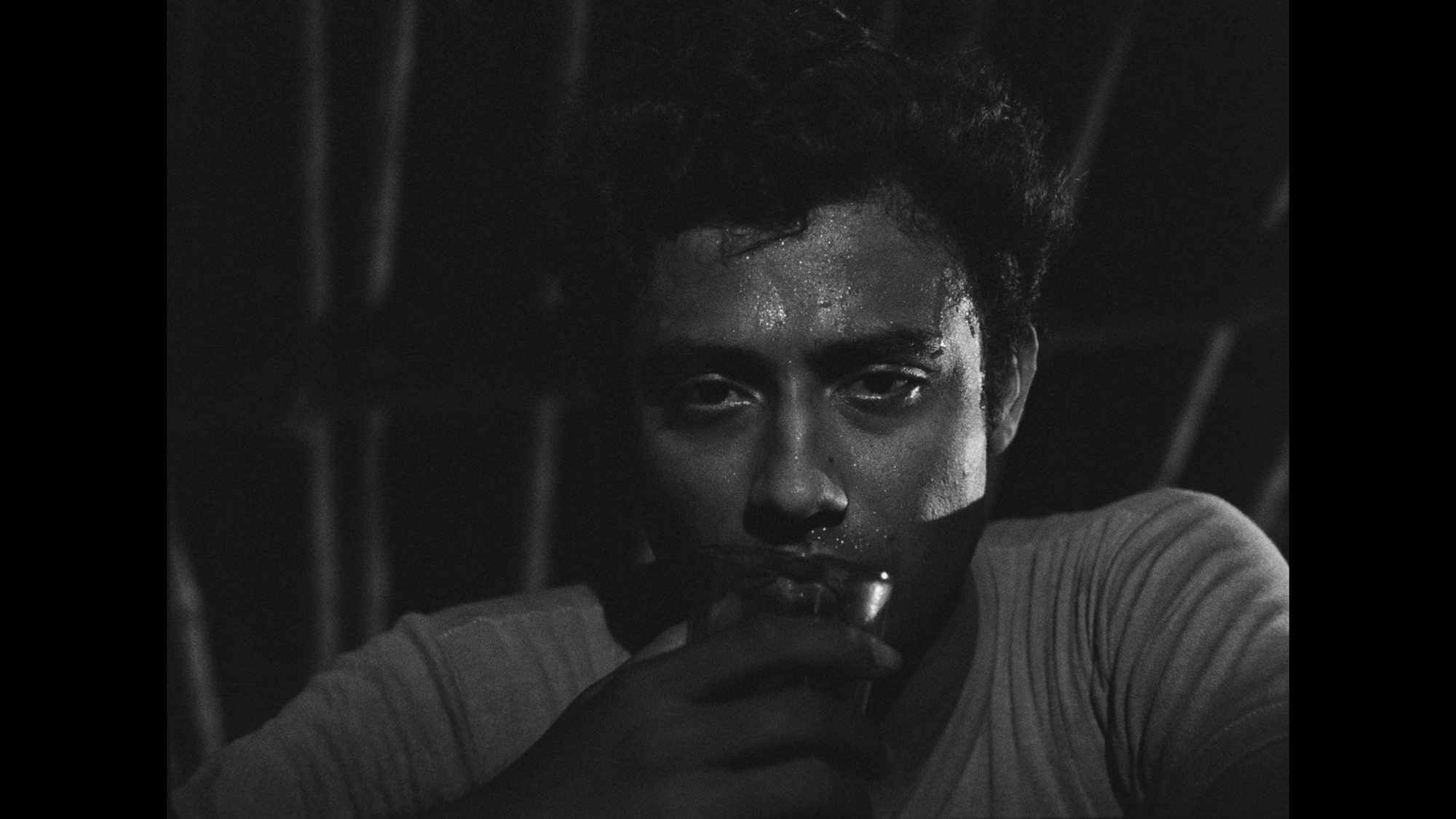 Screen capture from Days and Nights in the Forest