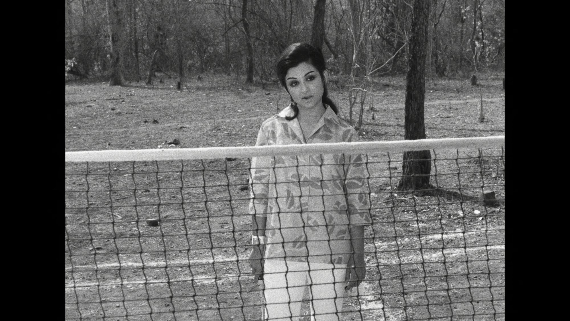 Screen capture from Days and Nights in the Forest