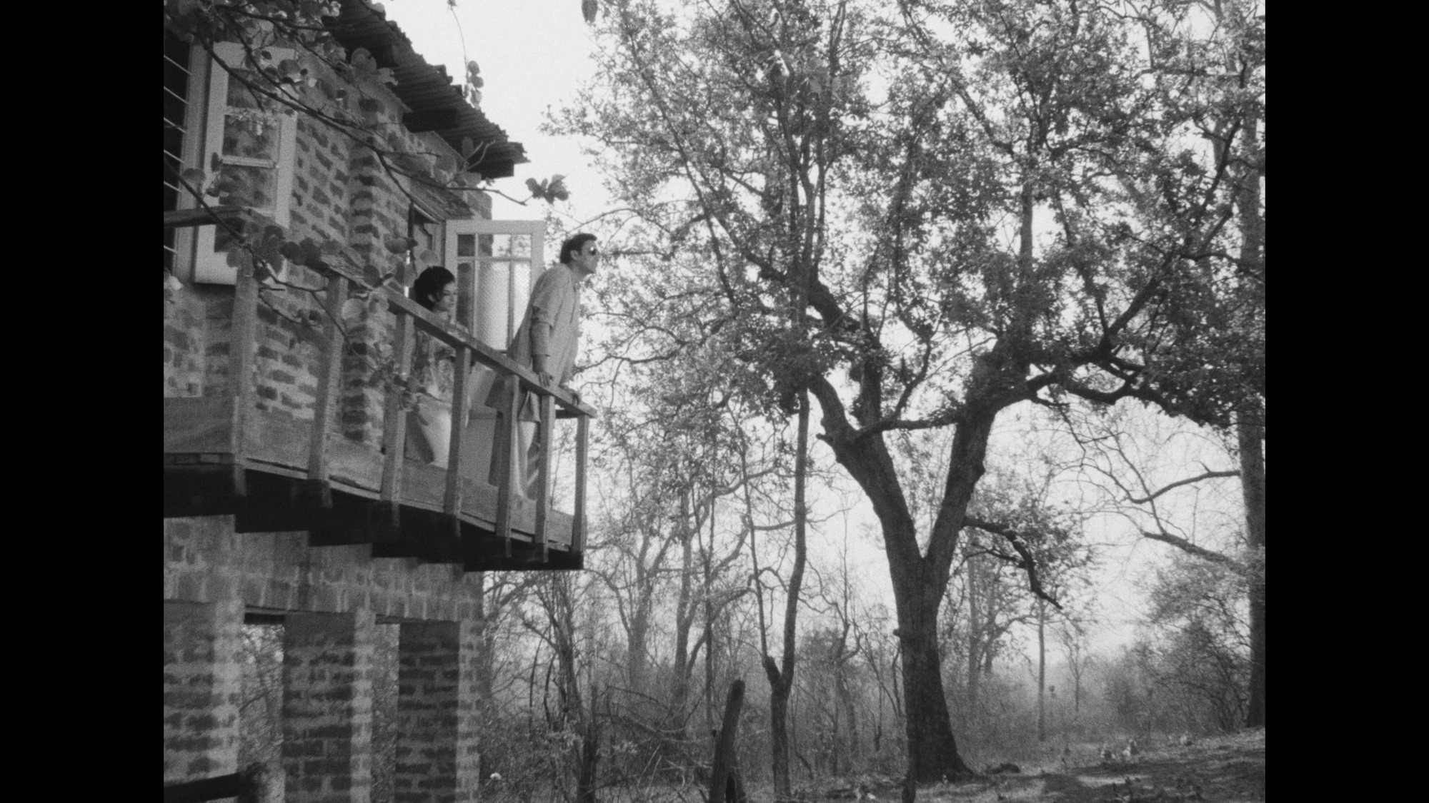 Screen capture from Days and Nights in the Forest