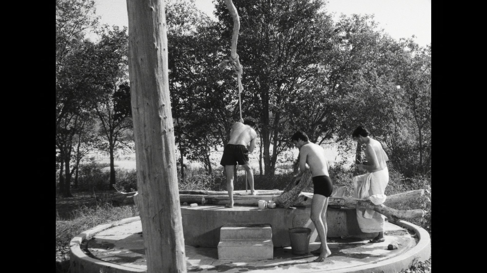 Screen capture from Days and Nights in the Forest