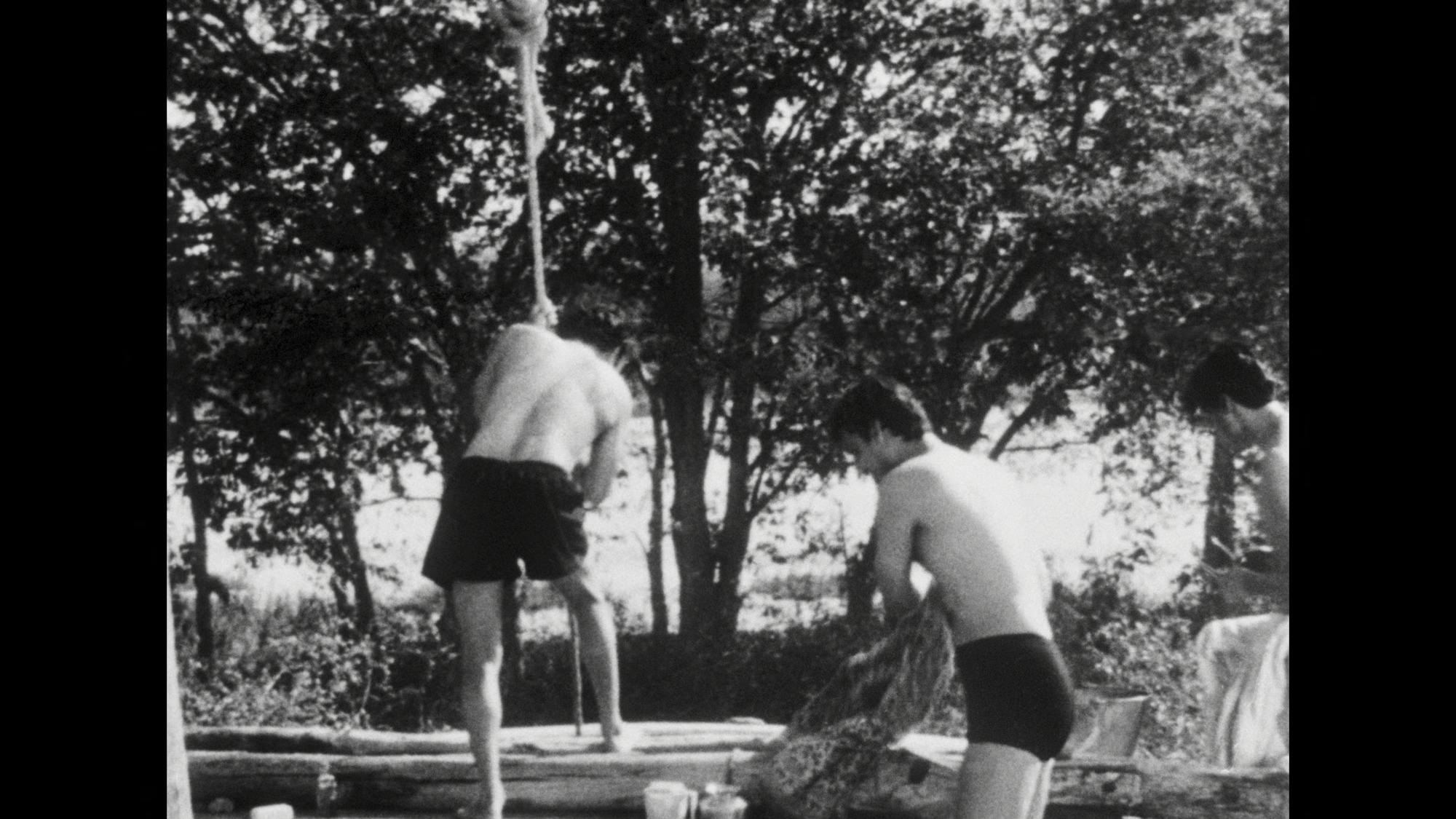 Screen capture from Days and Nights in the Forest