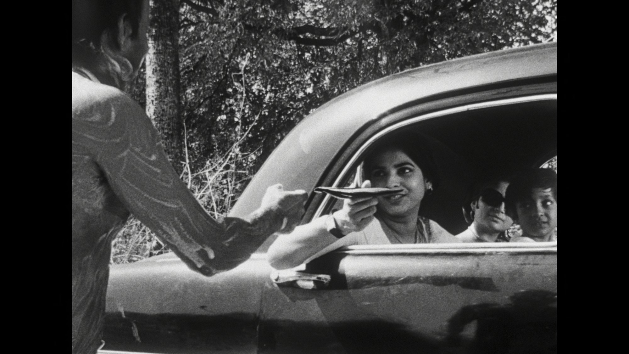 Screen capture from Days and Nights in the Forest
