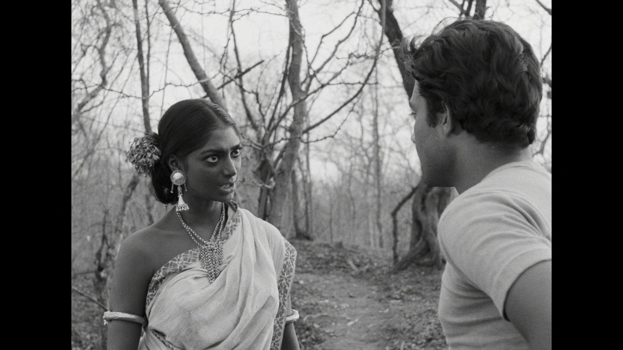 Screen capture from Days and Nights in the Forest