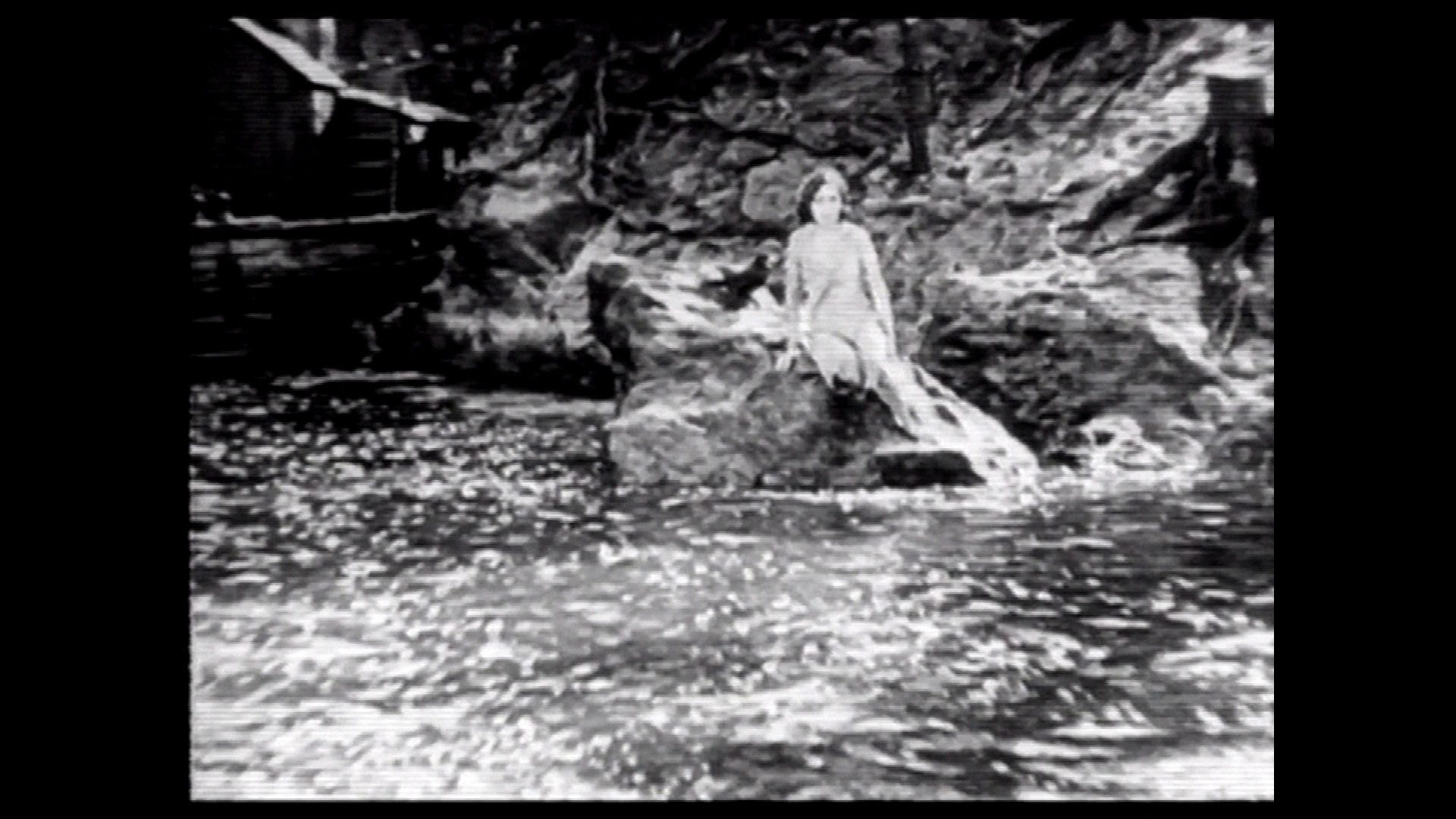 Screen capture from Histoire(s) du cinéma and other works