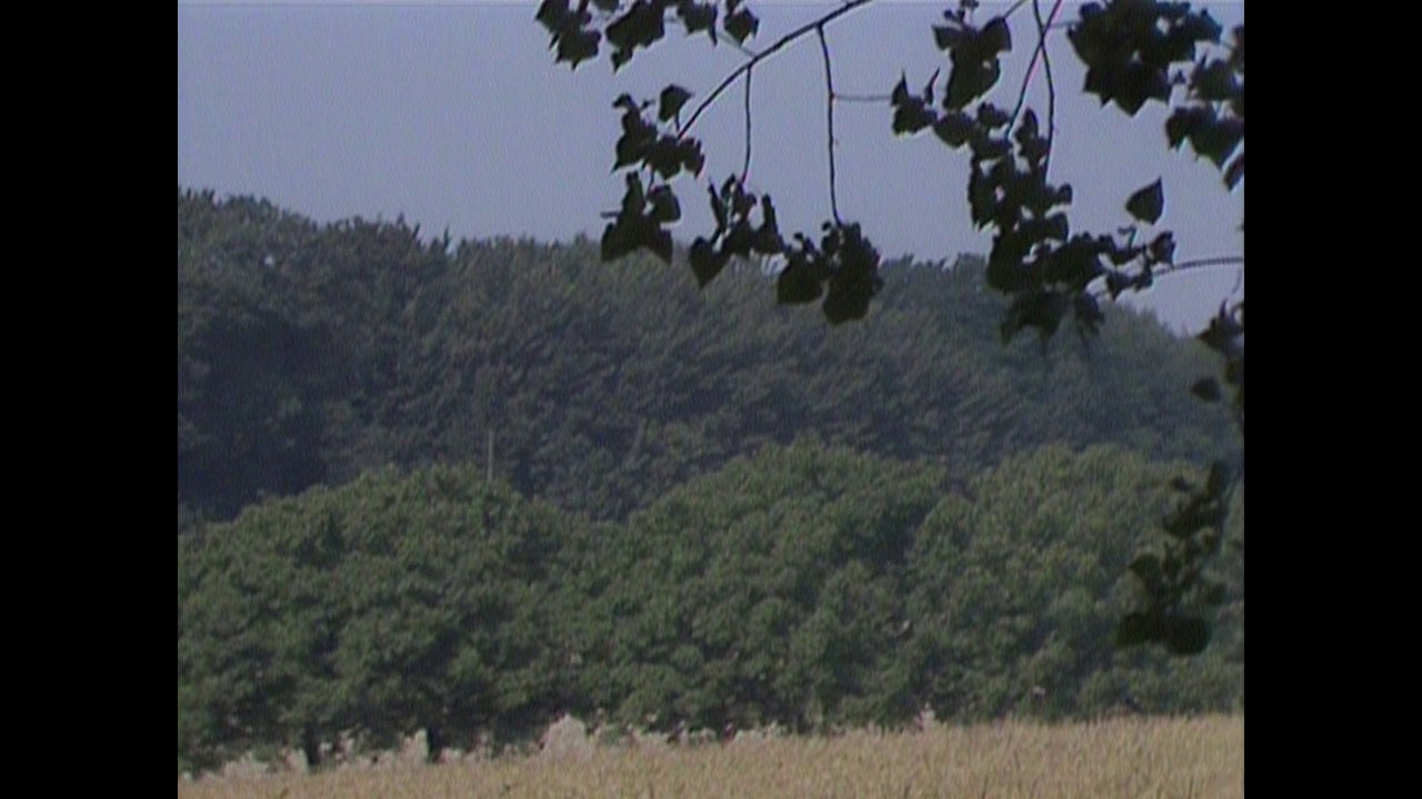 Screen capture from Histoire(s) du cinéma and other works