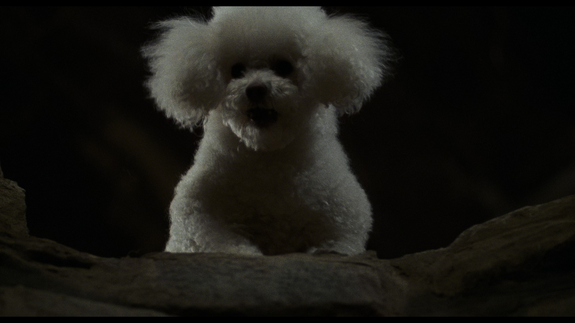Screen capture from The Silence of the Lambs