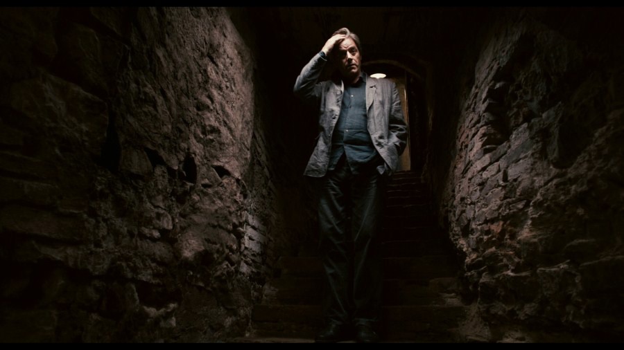 Screen capture from Certified Copy