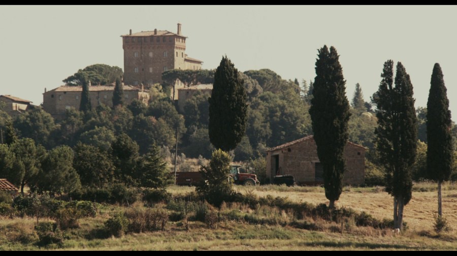 Screen capture from Certified Copy
