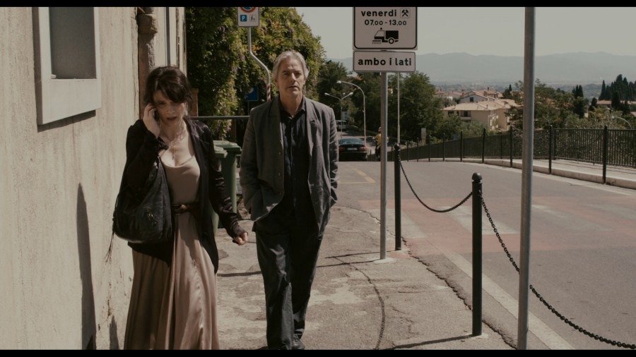 Screen capture from Certified Copy