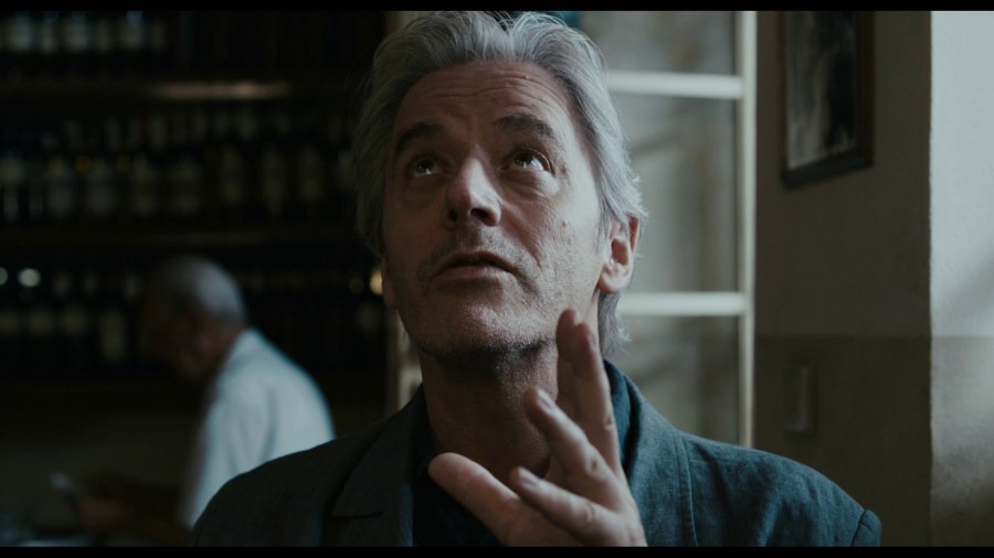 Screen capture from Certified Copy