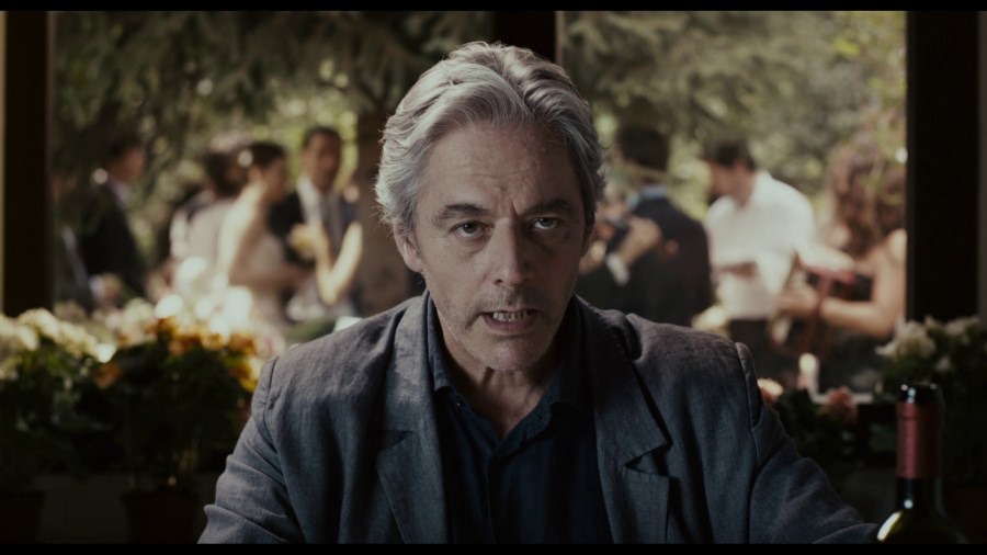 Screen capture from Certified Copy