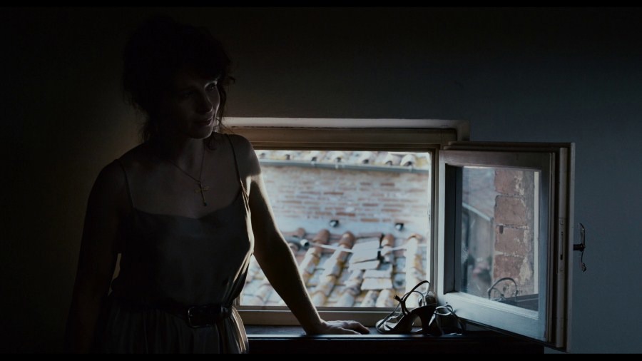 Screen capture from Certified Copy