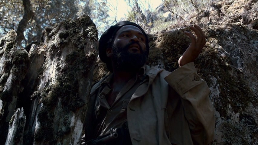 Screen capture from Che