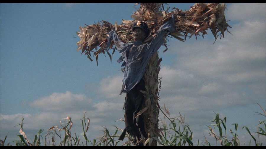 Screen capture from Children of the Corn