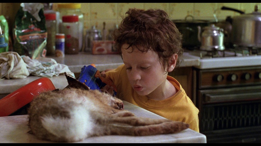 Screen capture from La Ciénaga