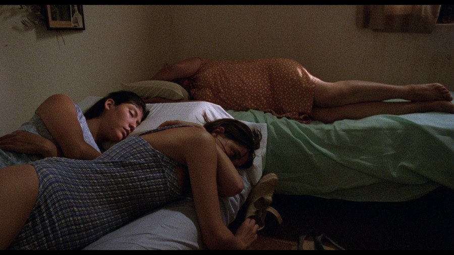 Screen capture from La Ciénaga