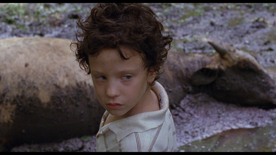 Screen capture from La Ciénaga