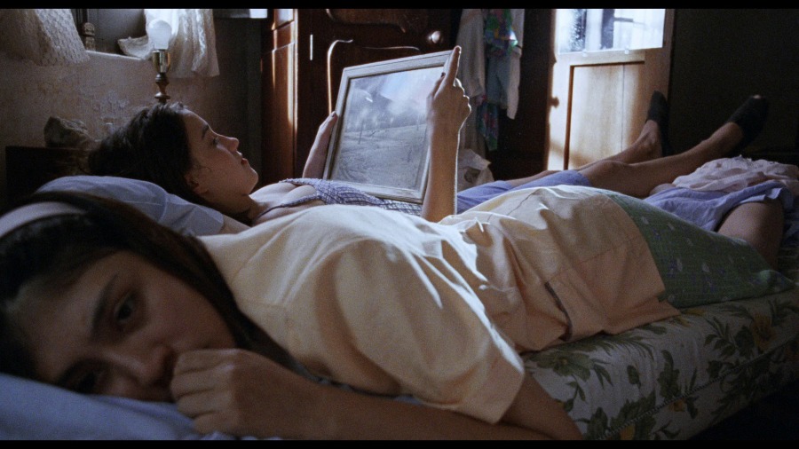 Screen capture from La Ciénaga
