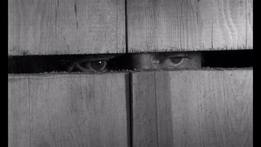 Screen capture from Cul-de-sac