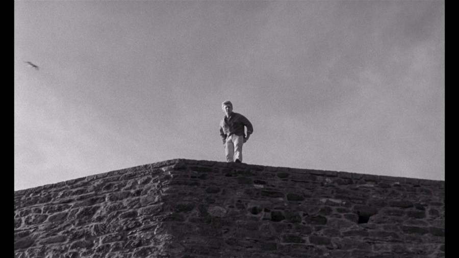 Screen capture from Cul-de-sac