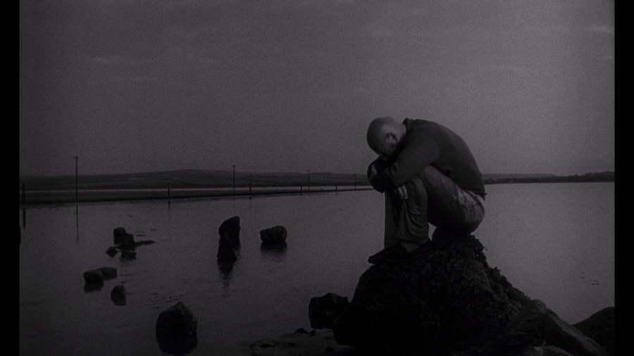Screen capture from Cul-de-sac