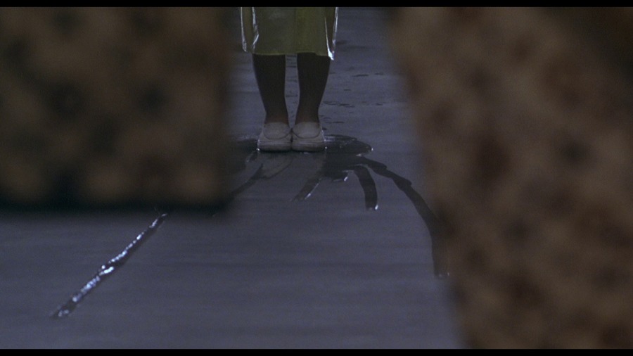 Screen capture from Dark Water