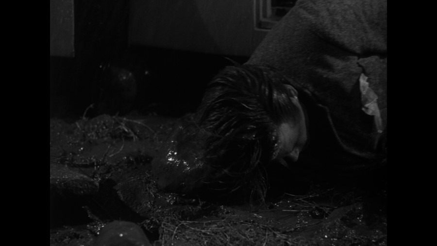 Screen capture from Detour