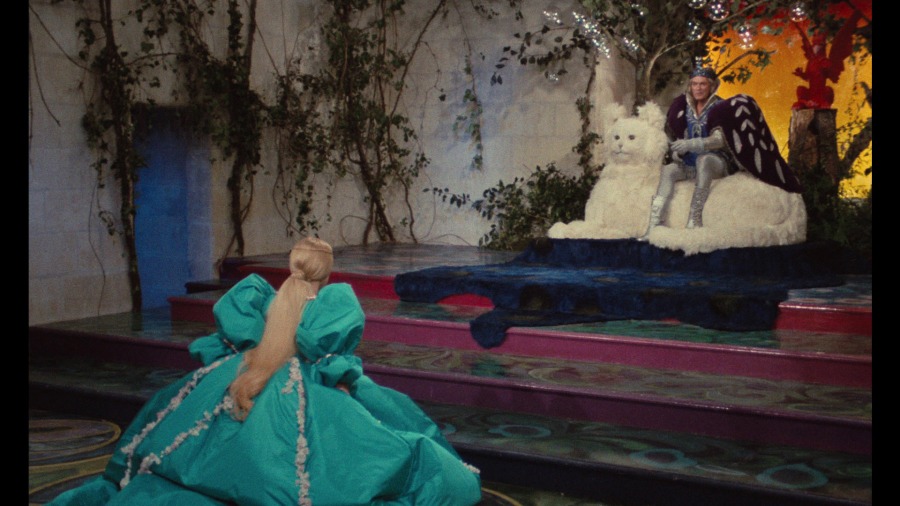 Screen capture from Donkey Skin