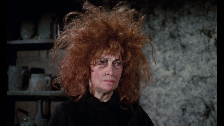 Screen capture from Donkey Skin