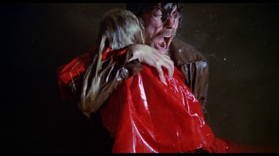 Screen capture from Don't Look Now