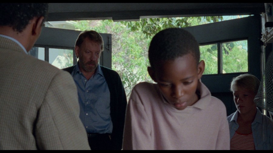 Screen capture from A Dry White Season