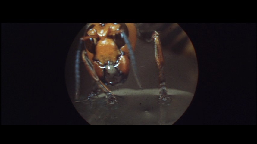Screen capture from When Horror Came to Shochiku