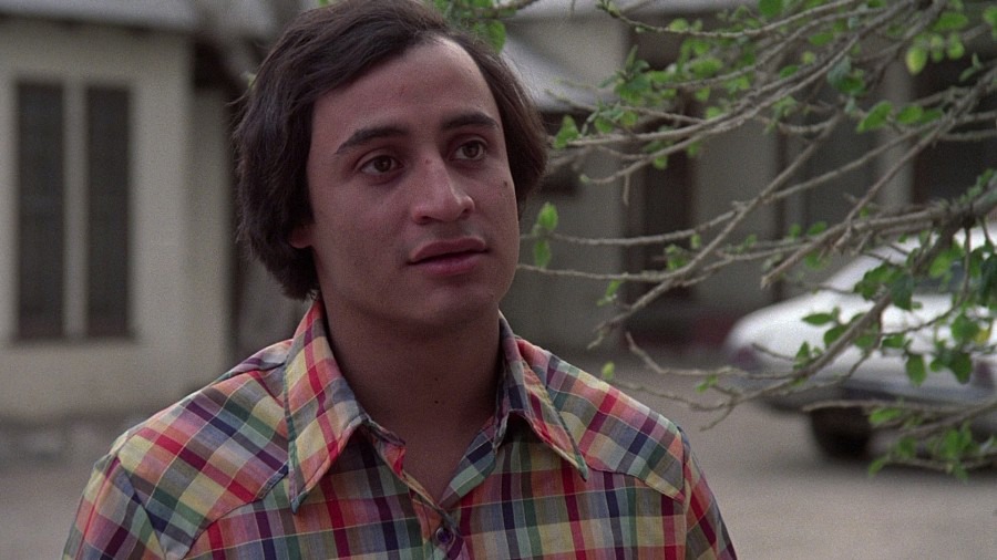 Screen capture from El Norte