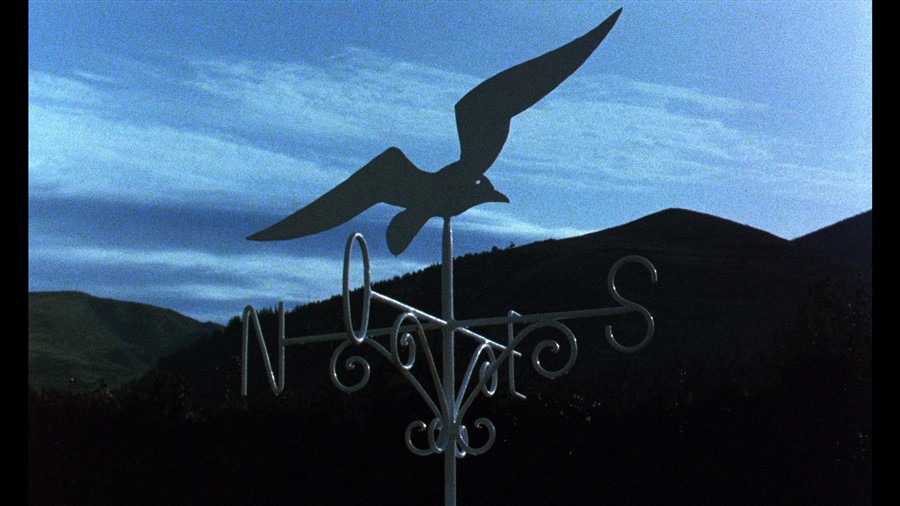 Screen capture from El Sur