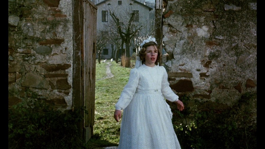 Screen capture from El Sur