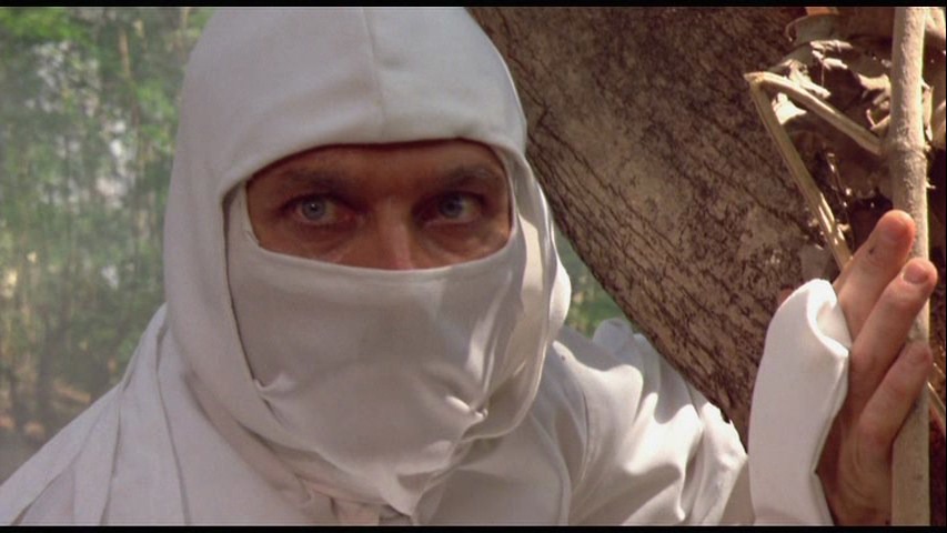 Screen capture from Enter the Ninja