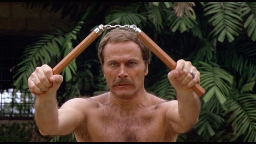 Screen capture from Enter the Ninja