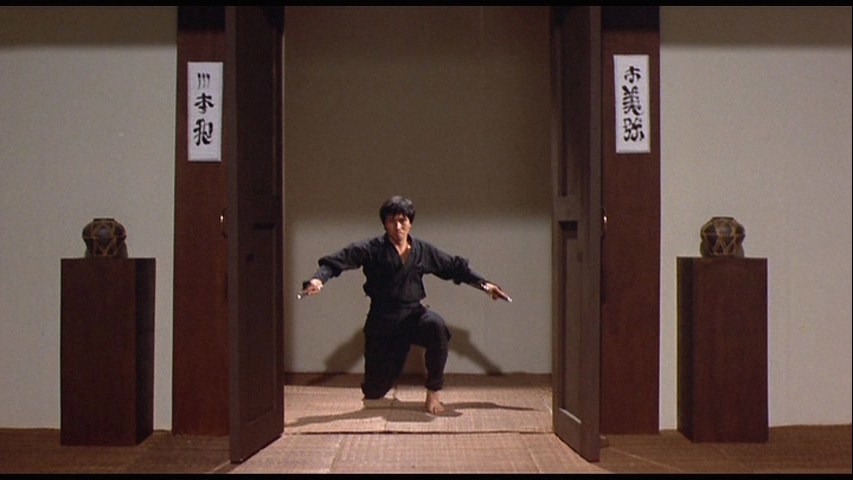 Screen capture from Enter the Ninja
