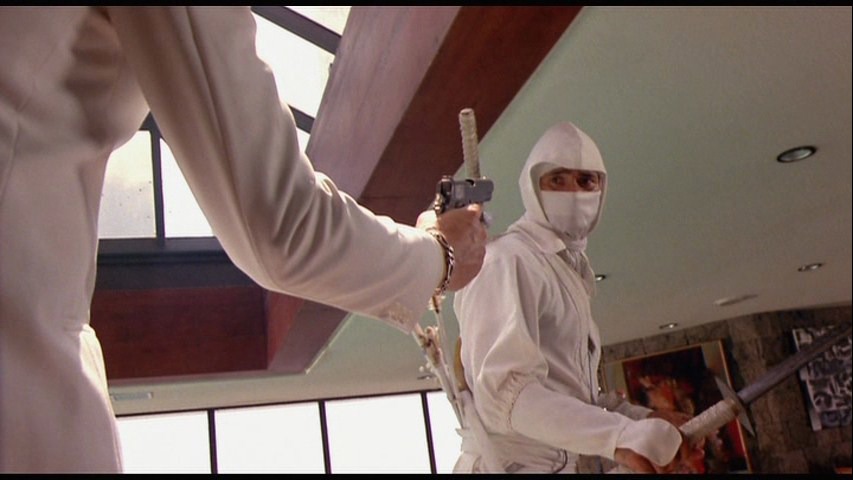 Screen capture from Enter the Ninja