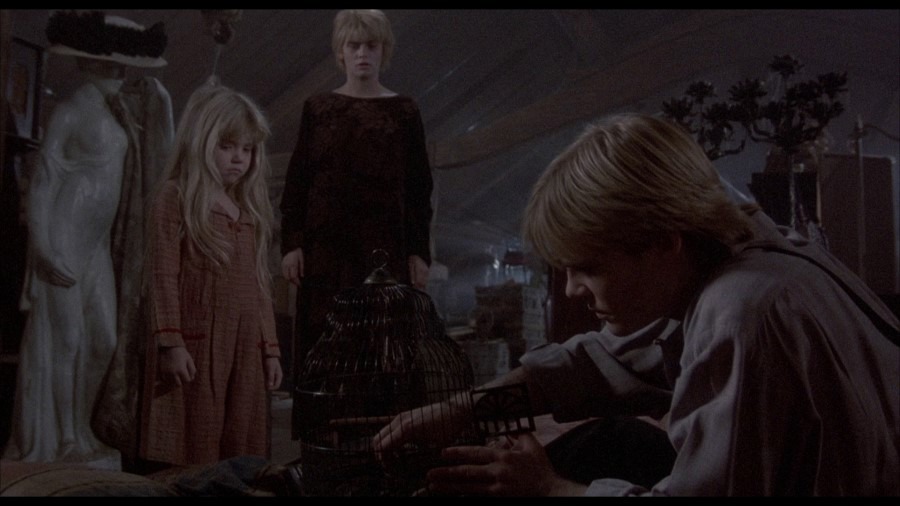 Screen capture from Flowers in the Attic