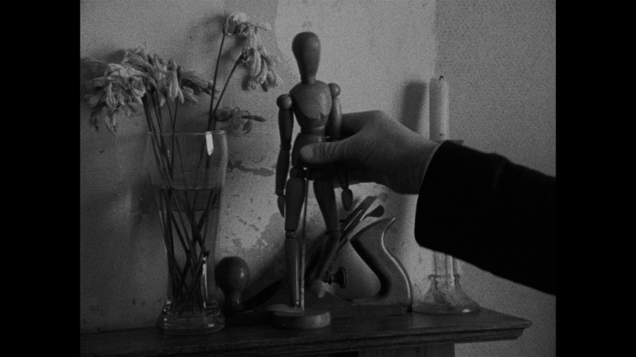 Screen capture from Following