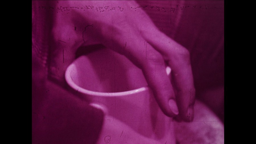Screen capture from A Hollis Frampton Odyssey