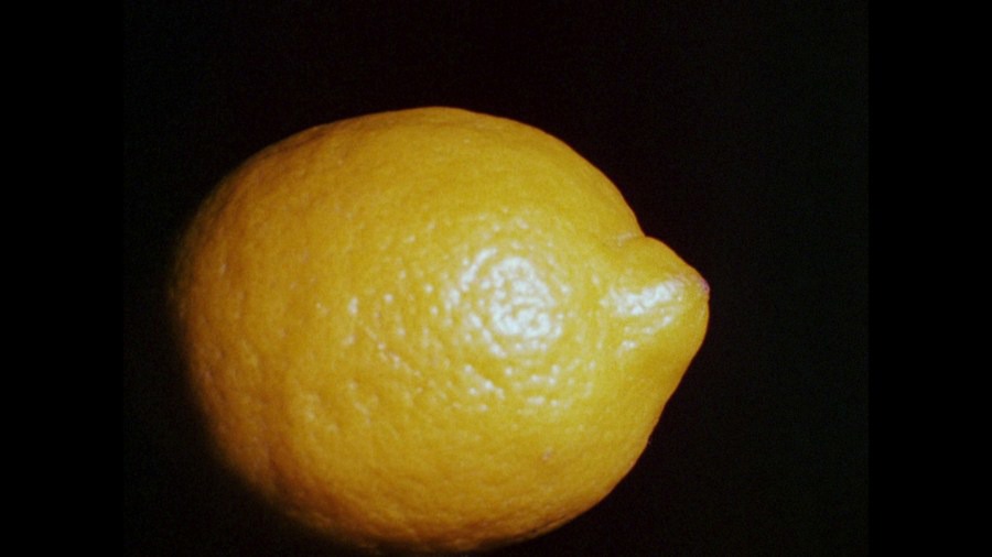 Screen capture from A Hollis Frampton Odyssey