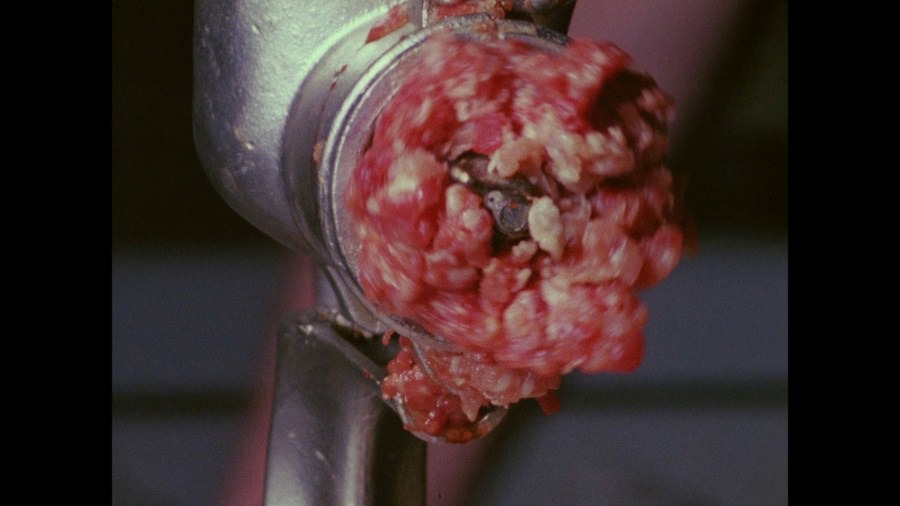 Screen capture from A Hollis Frampton Odyssey
