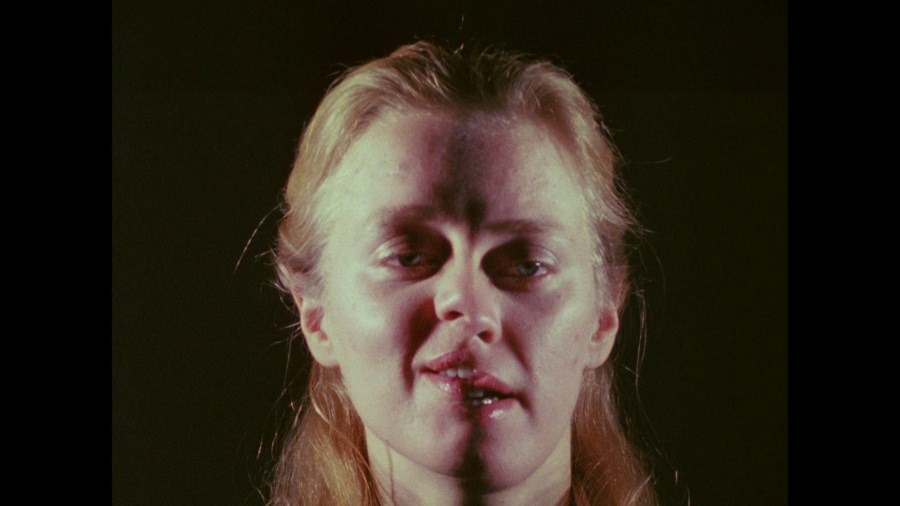 Screen capture from A Hollis Frampton Odyssey